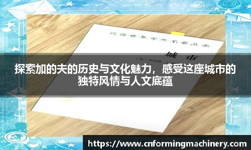 三亿体育官网入口