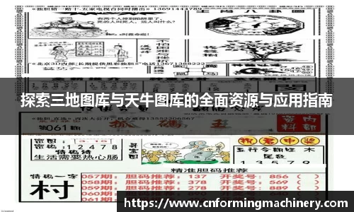 三亿体育手机网页版登录