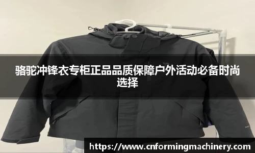 三亿体育手机网页版登录