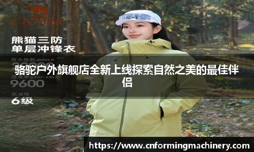 三亿体育手机网页版登录