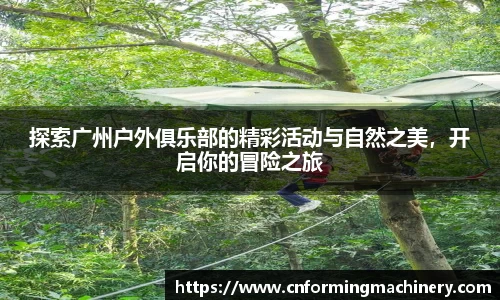 三亿体育官网版
