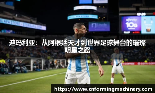 三亿体育官网入口