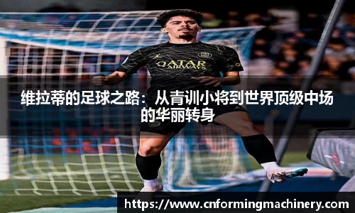三亿体育官网入口