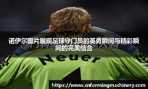 三亿体育手机网页版登录
