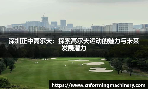 三亿体育最新地址