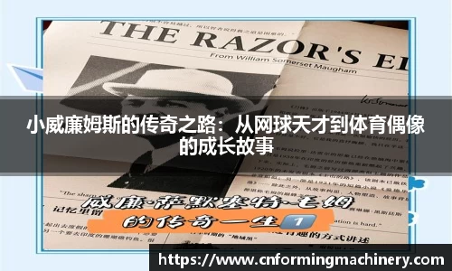 三亿体育官网版