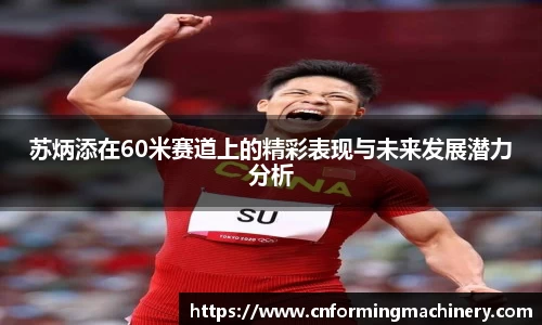 三亿体育官网版