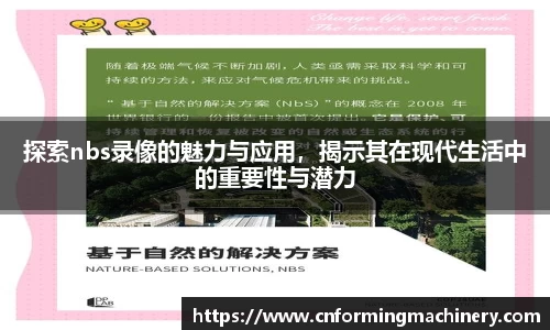 三亿体育官网入口